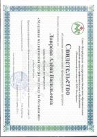 Сертификат филиала 11-я Красноармейская 12